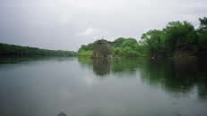 bridge